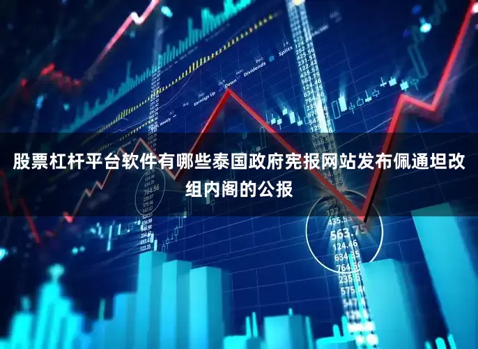 股票杠杆平台软件有哪些泰国政府宪报网站发布佩通坦改组内阁的公报