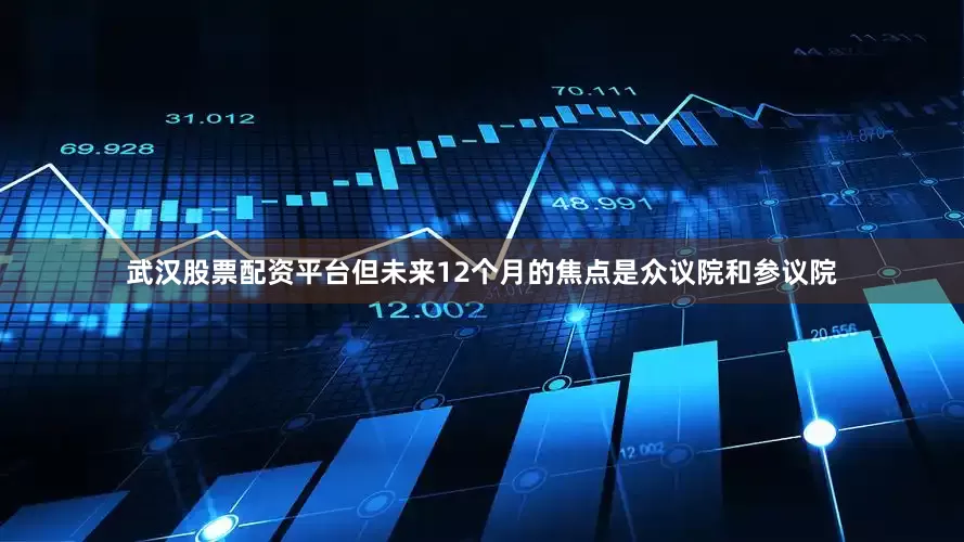 武汉股票配资平台但未来12个月的焦点是众议院和参议院